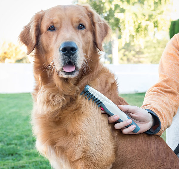 Elektrisk kam og fnugfjerner